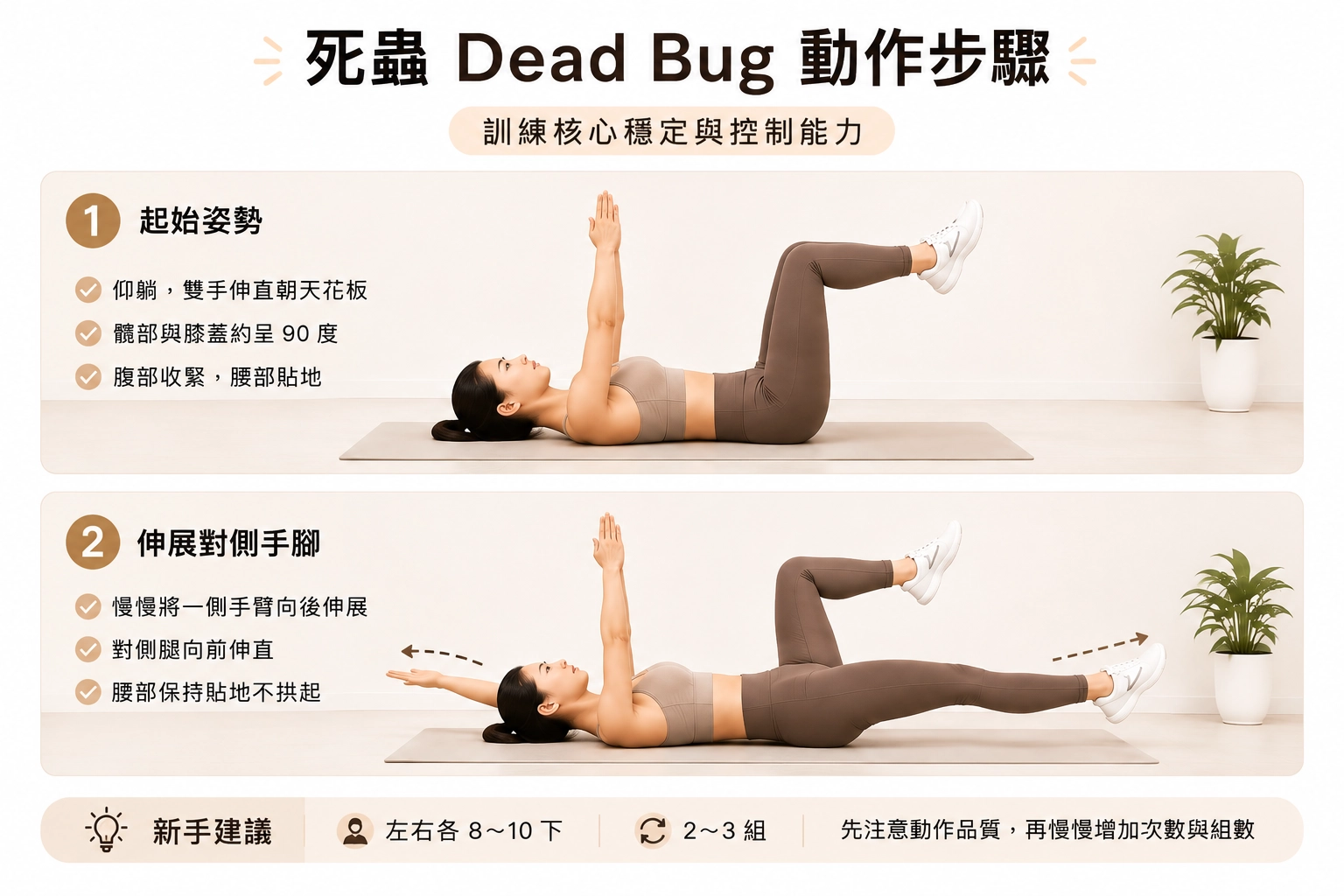 死蟲 Dead Bug動作步驟