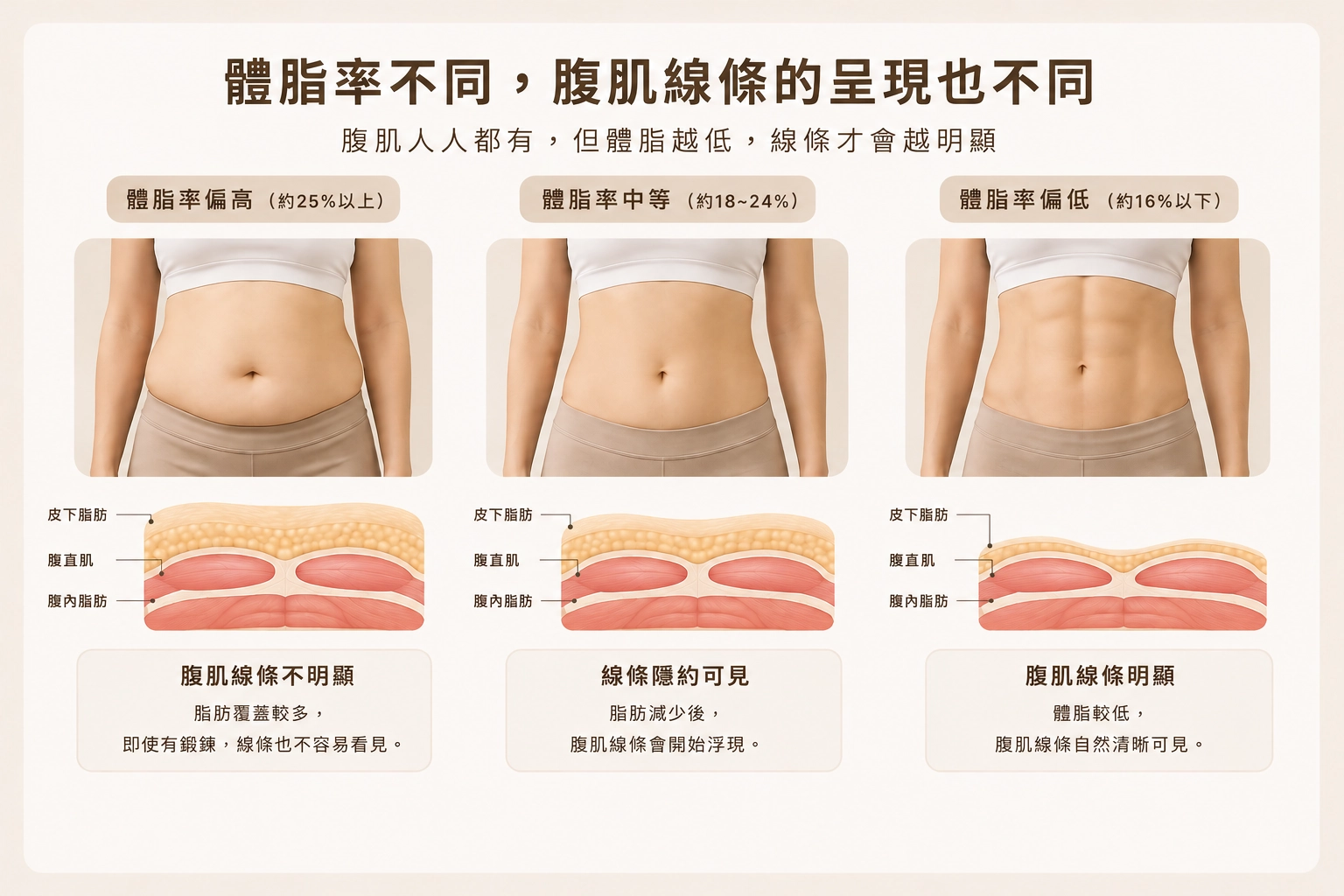 為什麼每天練腹肌,還是看不到腹肌?