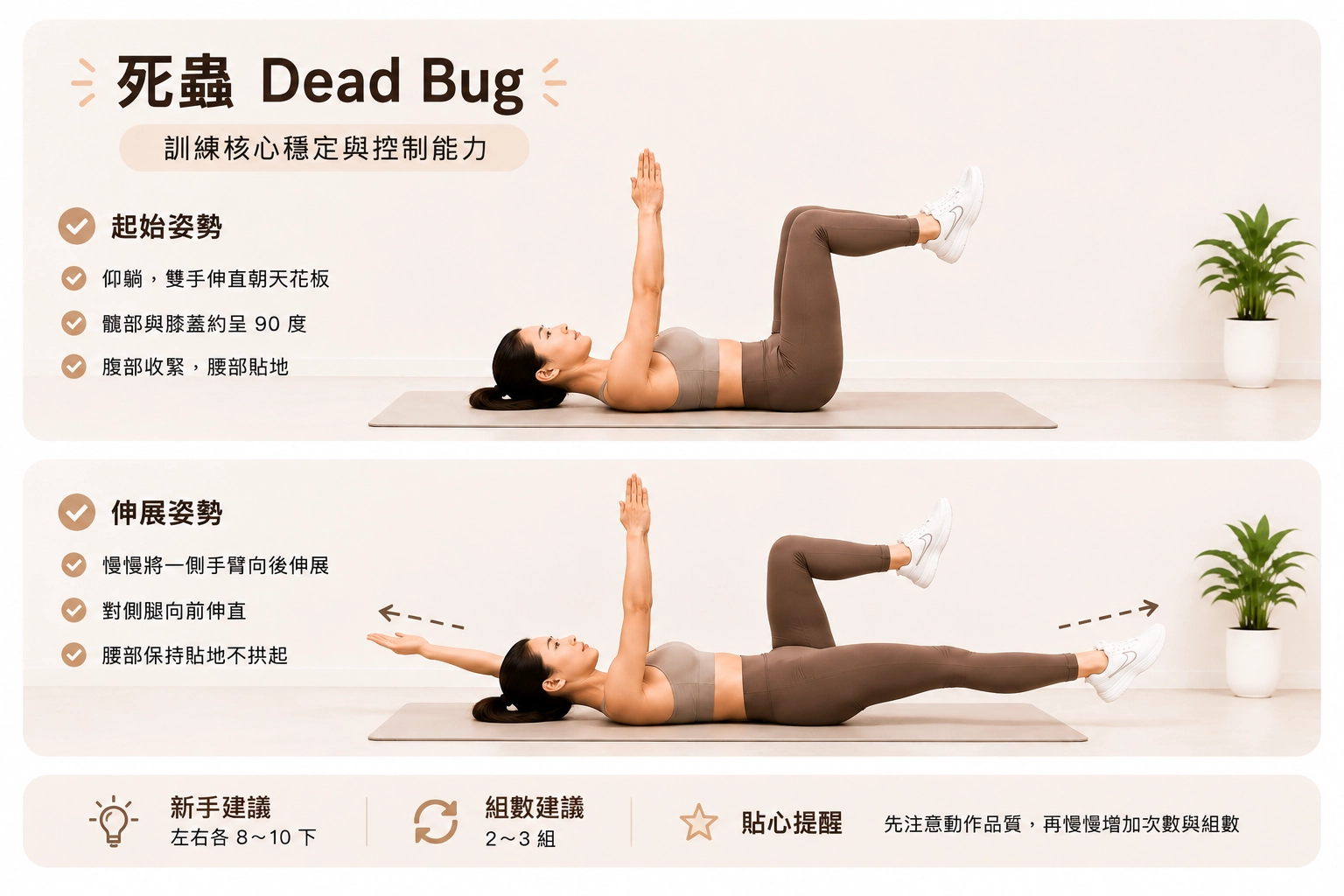死蟲 Dead Bug 動作步驟