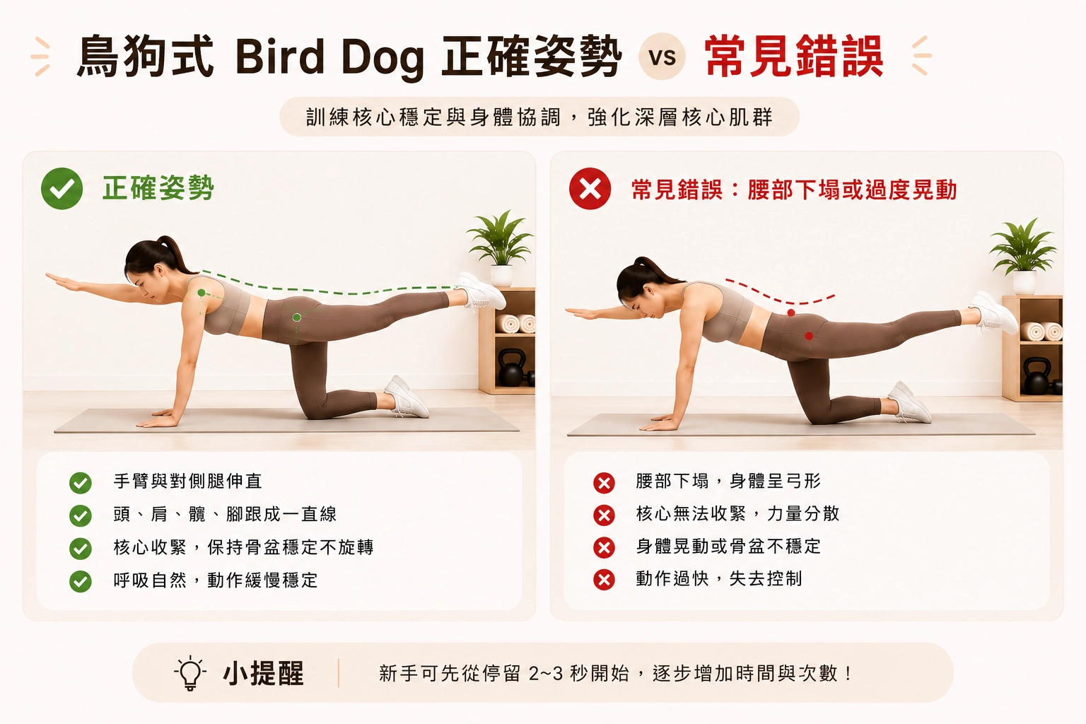 鳥狗式 Bird Dog 正確姿勢 VS 常見錯誤