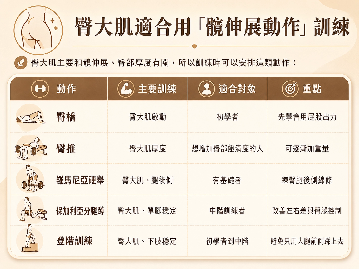 臀大肌訓練改善臀凹陷