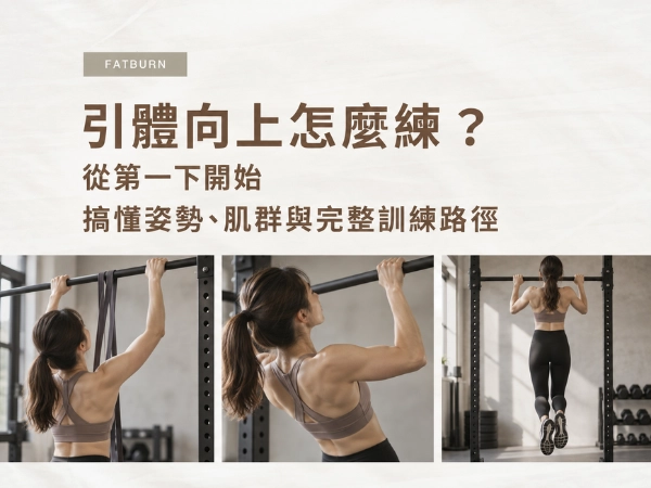 引體向上怎麼練?從第一下開始,搞懂姿勢、肌群與完整訓練路徑