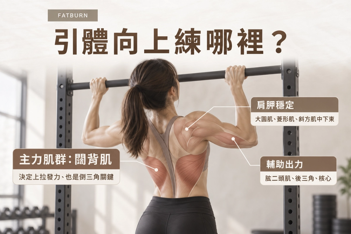 引體向上練到哪裡